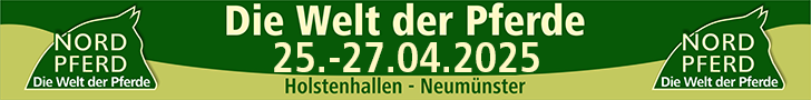 Banner-NP-728-2025