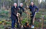 Wald-VR-Bank-titel